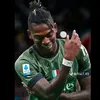 mmmmopi11