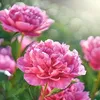 thanhha_1964