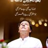 abdulhameedhameed617