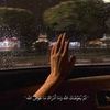 habibamoustafa58