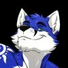 wolf_blue177