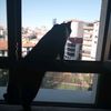 user6313688302309