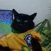 igor.humilde
