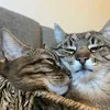 _zenny224