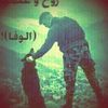 ahmedharby4138