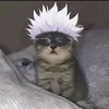 gatito3952