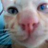 aimy24_05