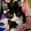 your_kitty0510