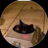 catin_tank