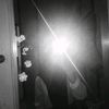 lika_2304