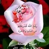user5098080686175
