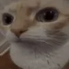 davidjldr