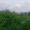 lekteguh4