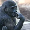 muiepsd2025