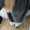 rigmor.vigga
