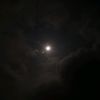 pemainmalam987654