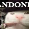 cxzcatmachine