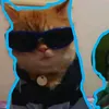 voiceziygy