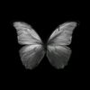 nesrine_aff