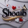 shoaibhussain4562