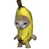 mashih0s