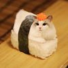 sushikoshka