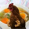 chickenknucklesoupgaming