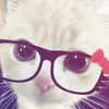 user120ssss
