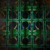 abisium_trapezium