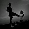 tdb_officiel8
