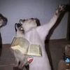 odane4jesus