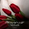 user6197543144226