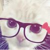 the_kairul0