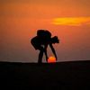 dawn_mist_97992111