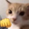 gatowhysoserious