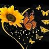 .vhmj