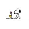 alisson_suqui