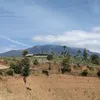 anakalam645