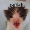 i want food