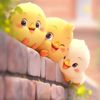 rose_bud_222