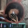user99781791916181