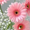 thucucnguyenthi3
