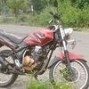 amira.putri225