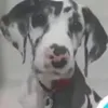 intergitchgirl