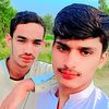 salmankingui