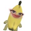 v0vour
