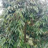 user1201085845435