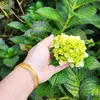 phamanhthu19881110