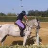 sofia.licandroo3