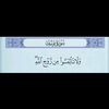 mahmmoud.1235